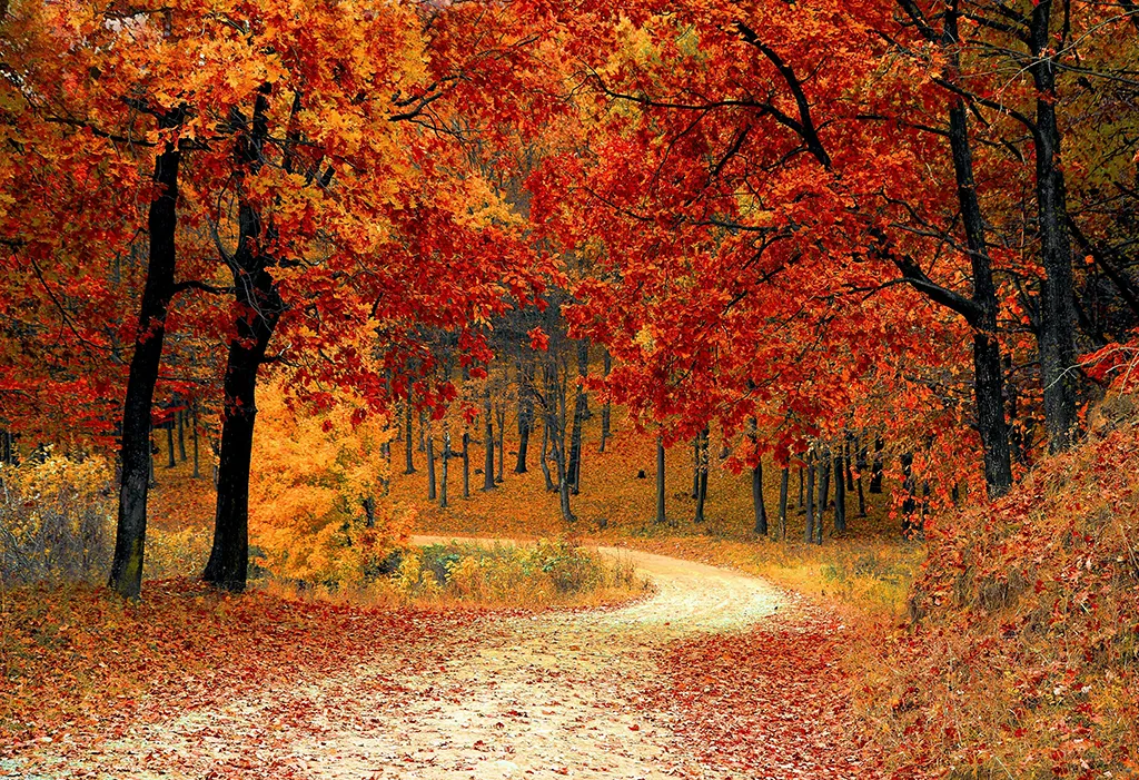autumn