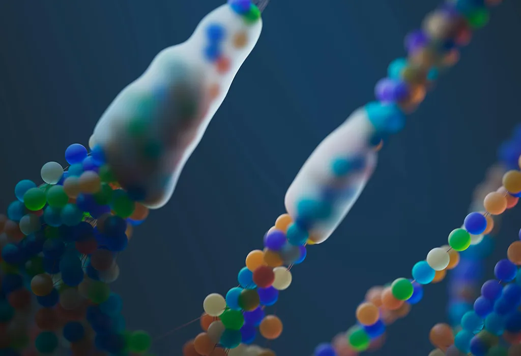 chromosome